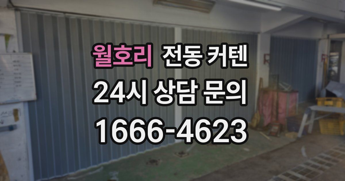 월호리 전동 커텐