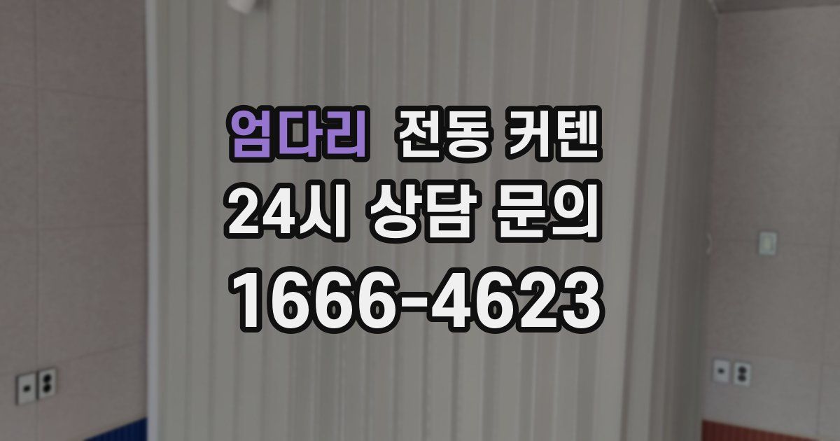 엄다리 전동 커텐