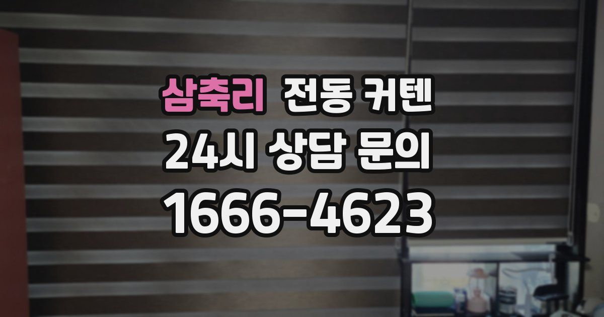삼축리 전동 커텐