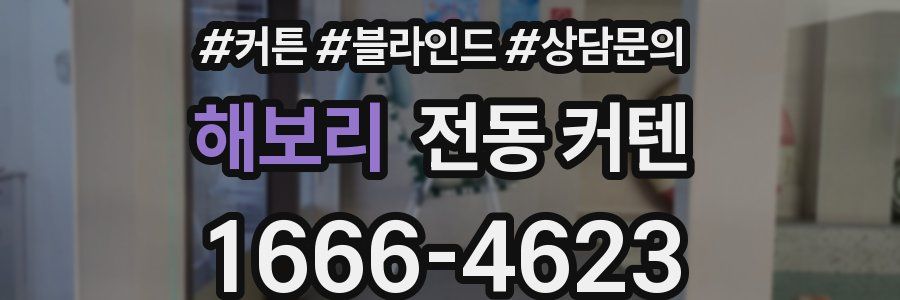 해보리 전동 커텐