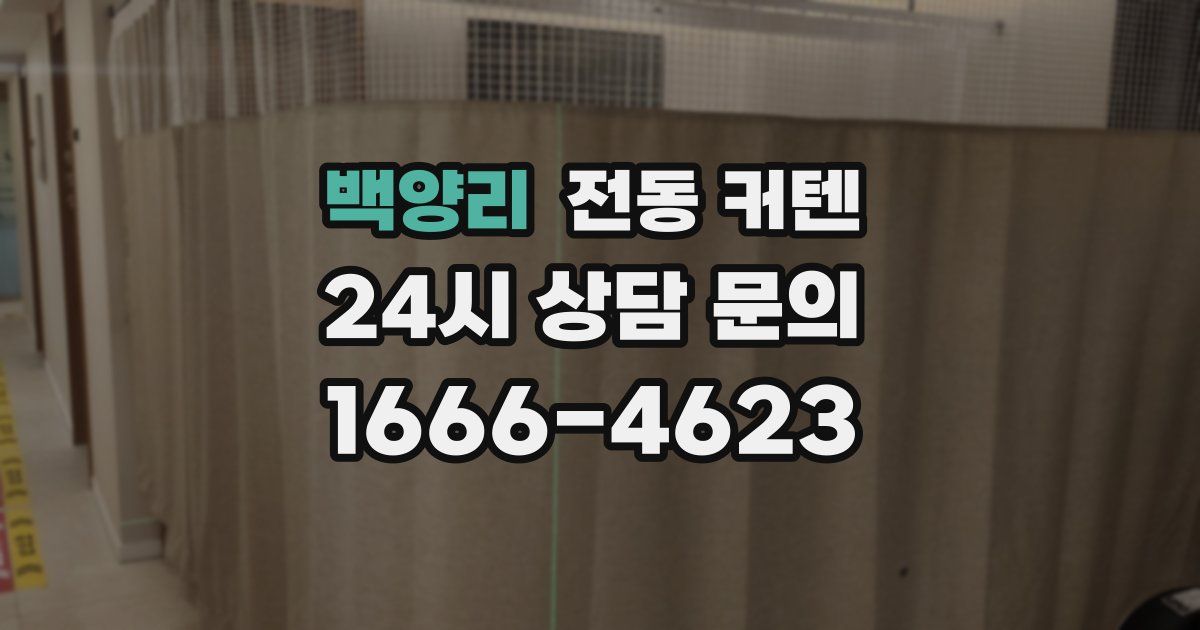 백양리 전동 커텐