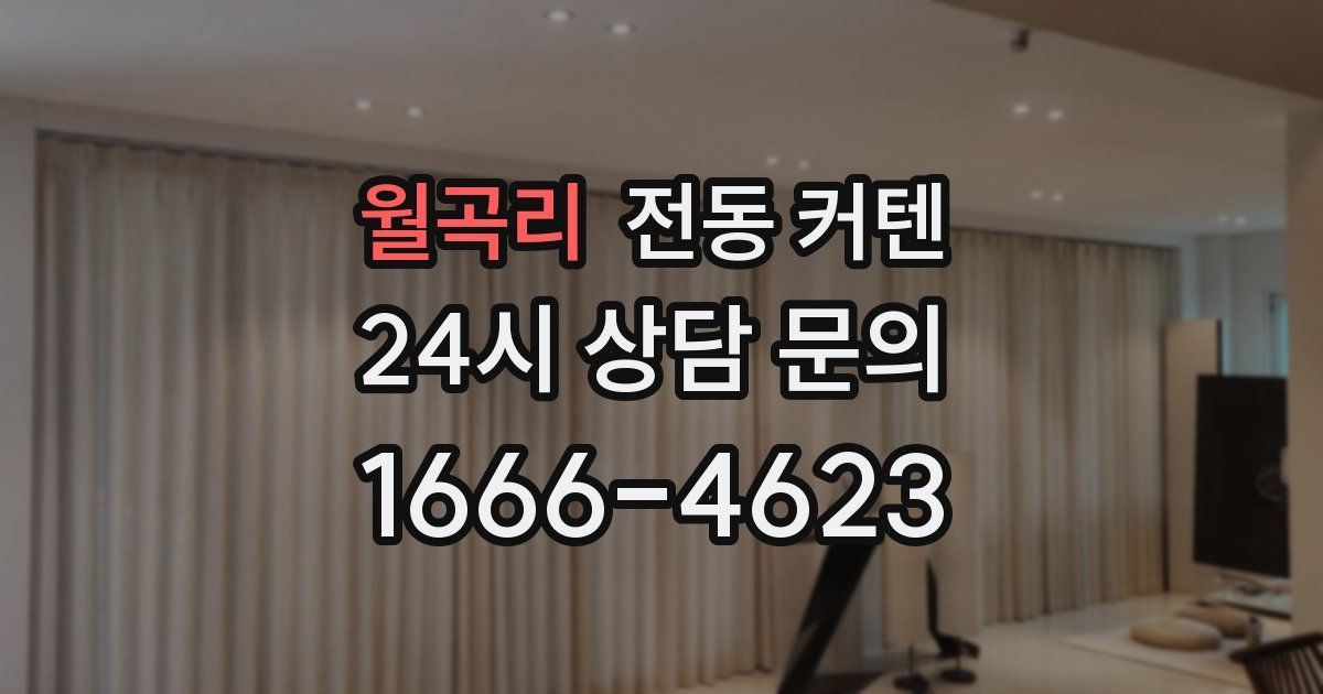 월곡리 전동 커텐