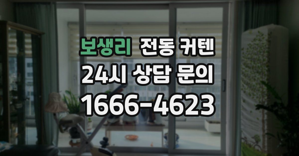 보생리 전동 커텐