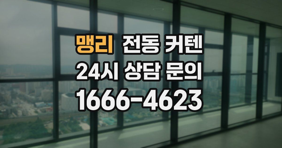 맹리 전동 커텐