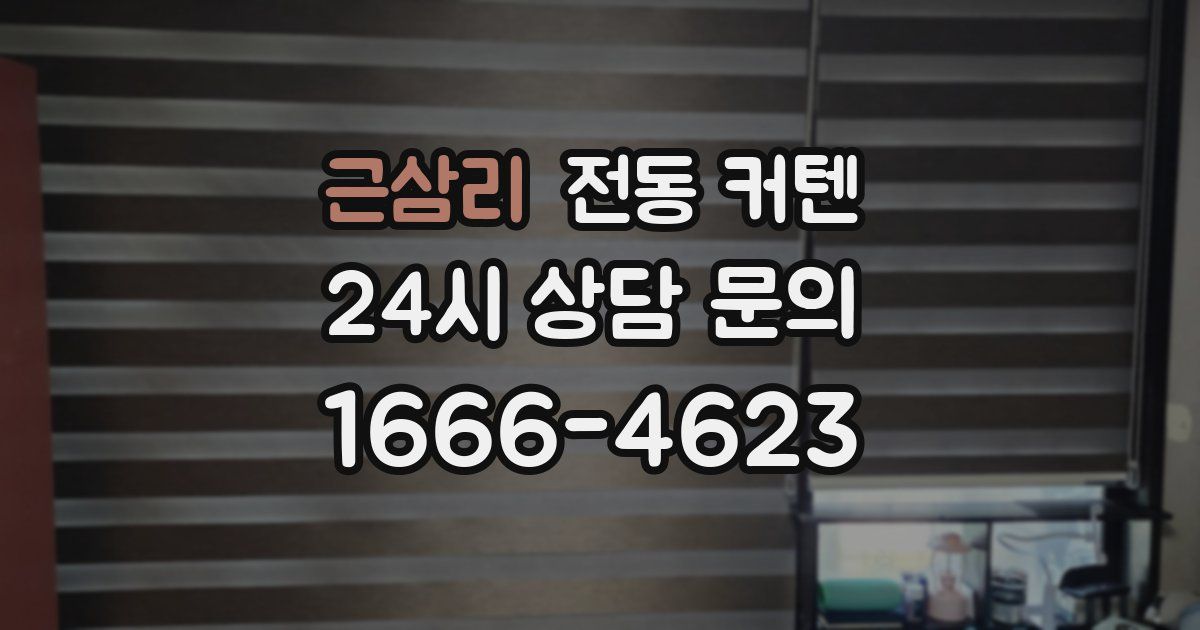 근삼리 전동 커텐