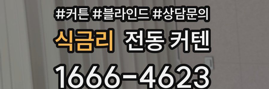 식금리 전동 커텐