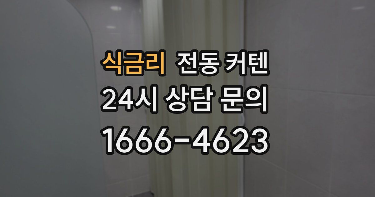 식금리 전동 커텐