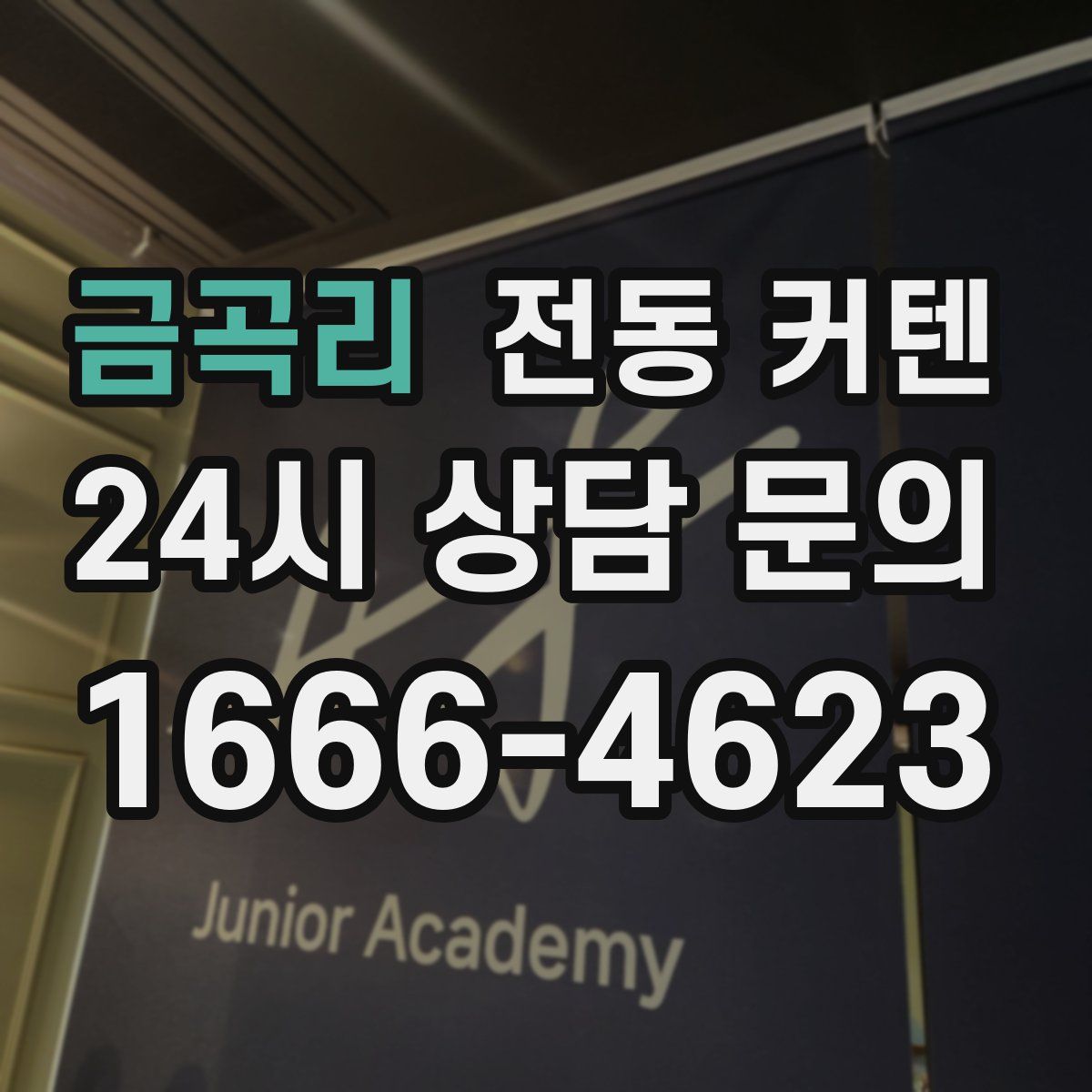 금곡리 전동 커텐