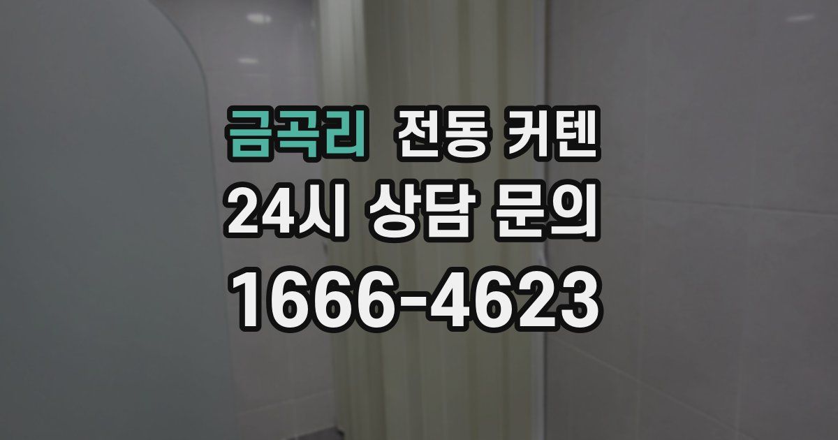 금곡리 전동 커텐