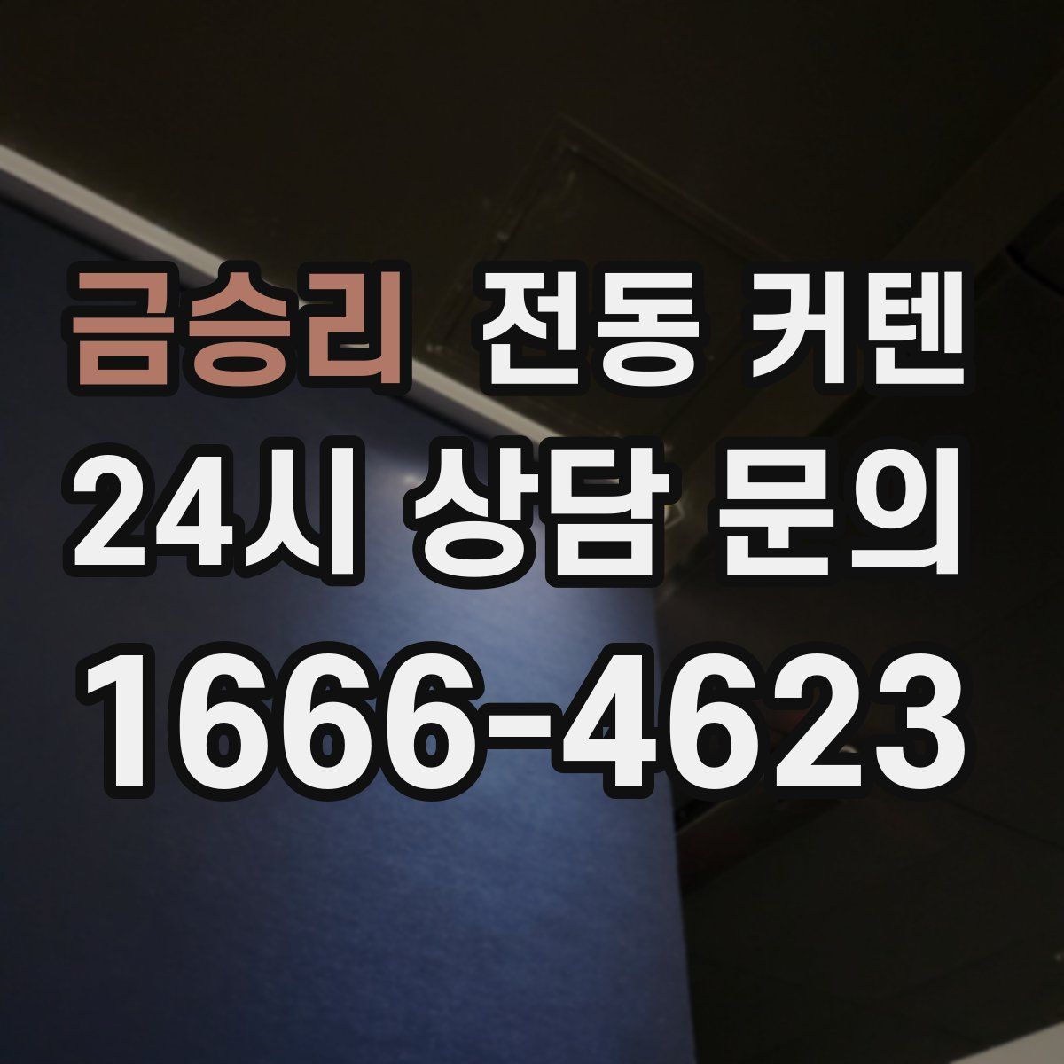 금승리 전동 커텐