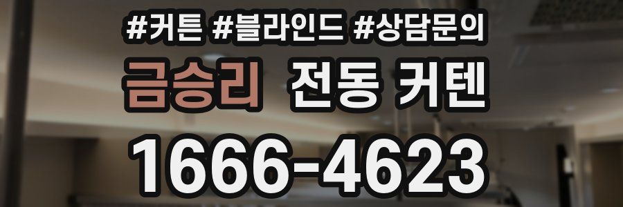 금승리 전동 커텐