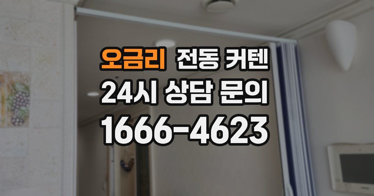 오금리 전동 커텐