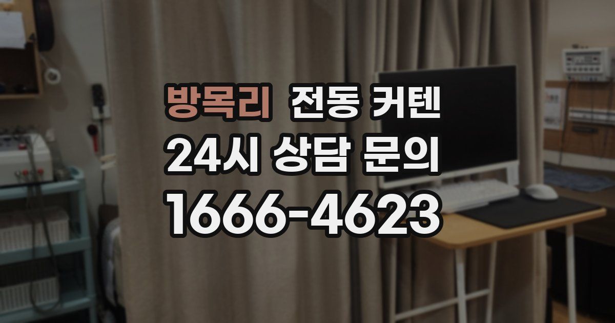방목리 전동 커텐