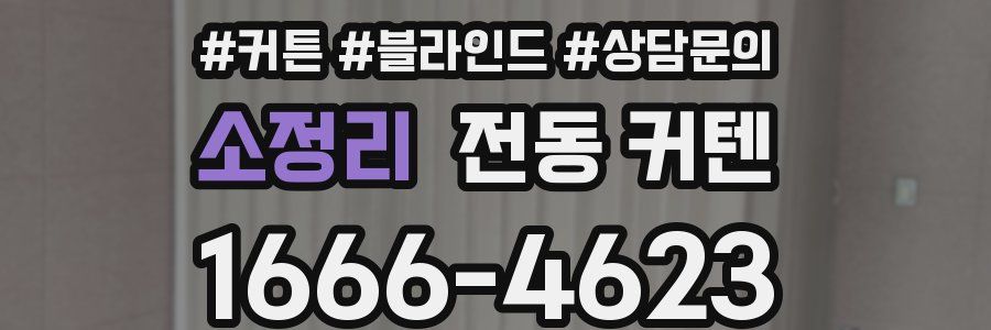 소정리 전동 커텐