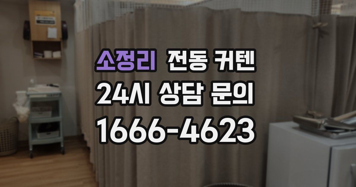 소정리 전동 커텐