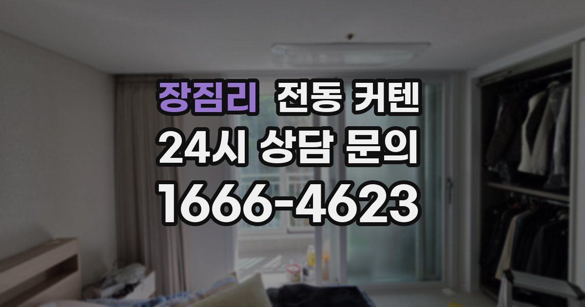 장짐리 전동 커텐