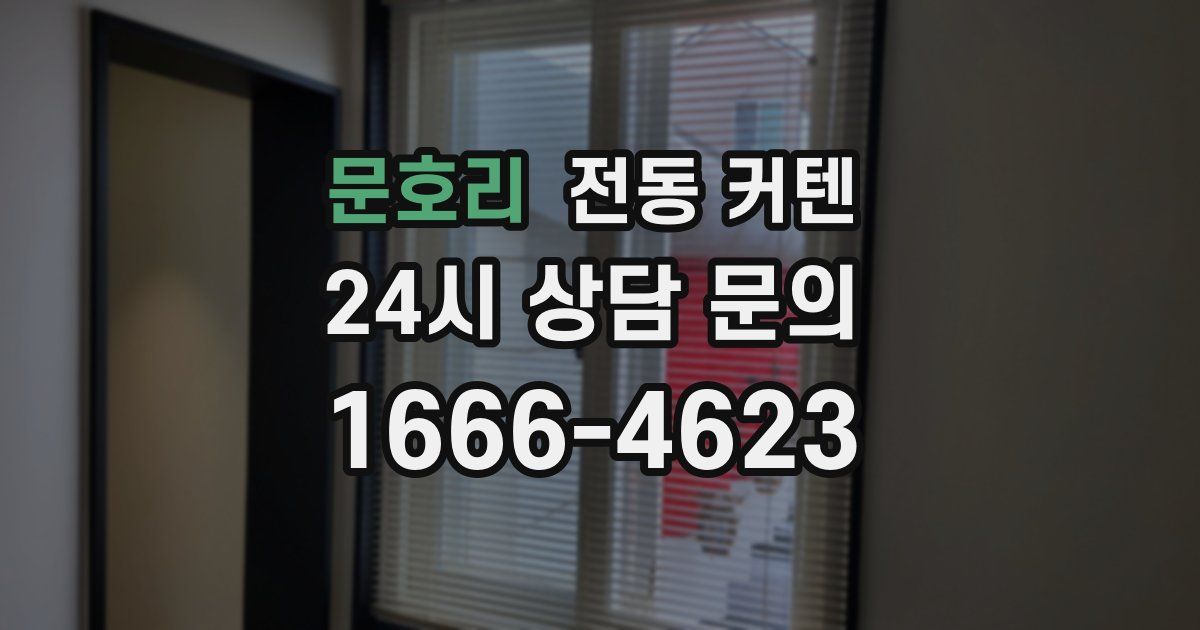문호리 전동 커텐