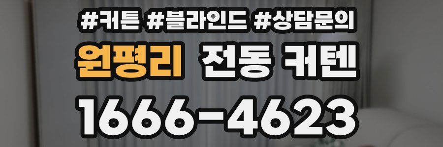 원평리 전동 커텐