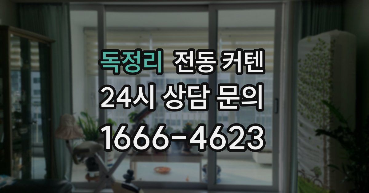 독정리 전동 커텐