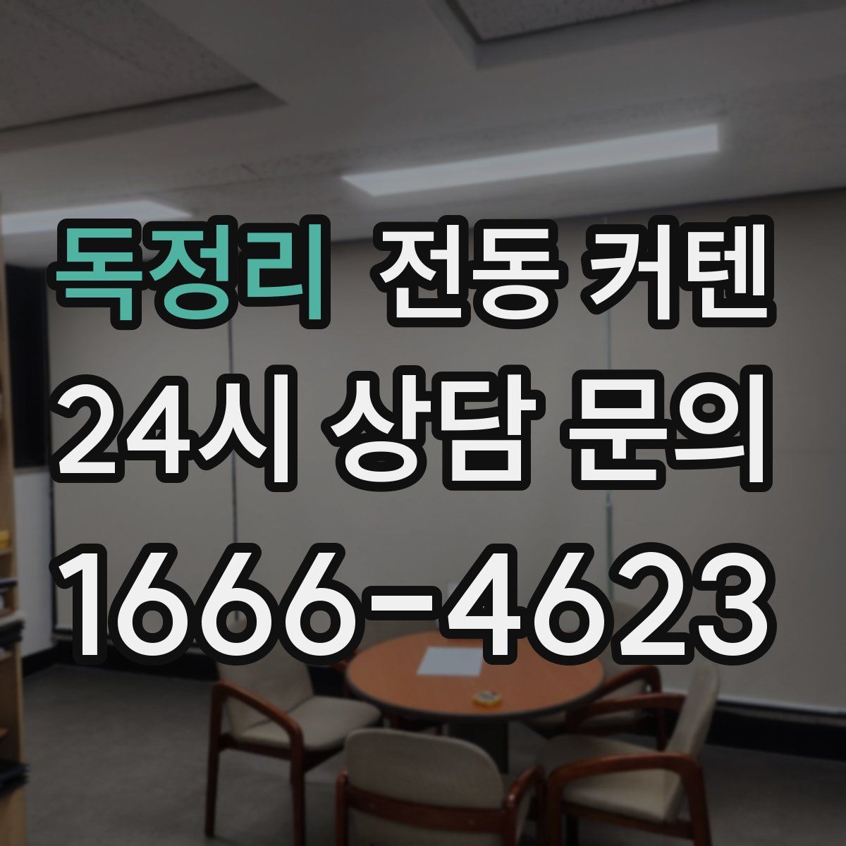 독정리 전동 커텐