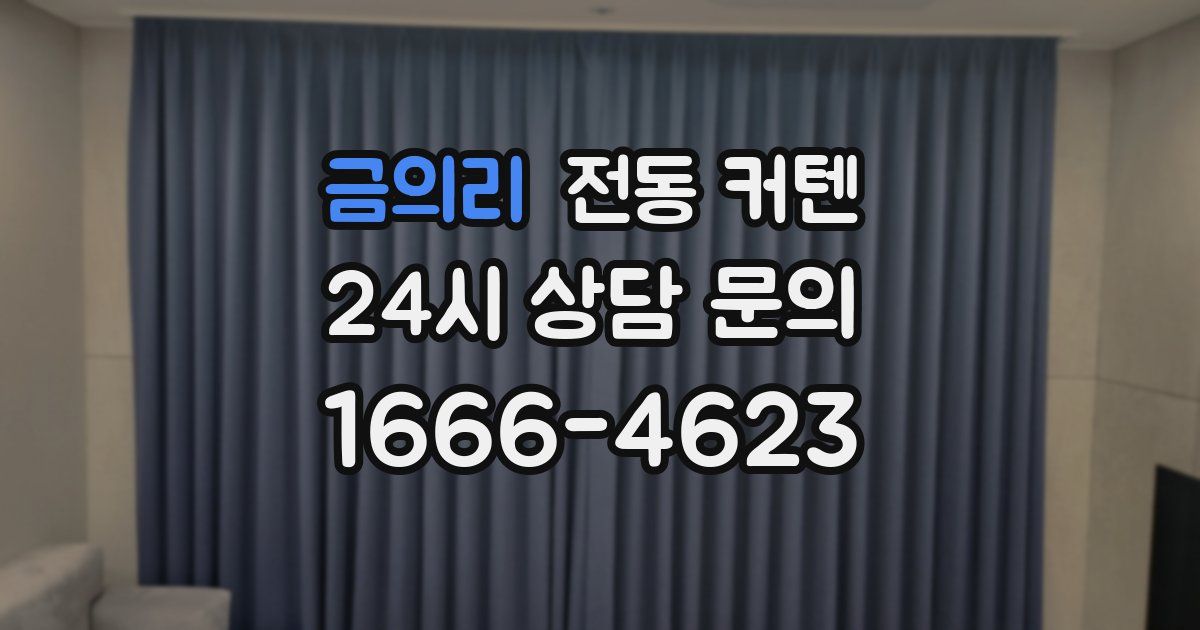 금의리 전동 커텐