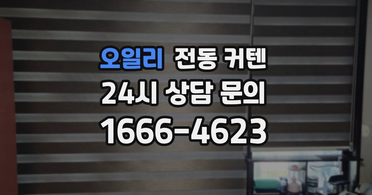 오일리 전동 커텐