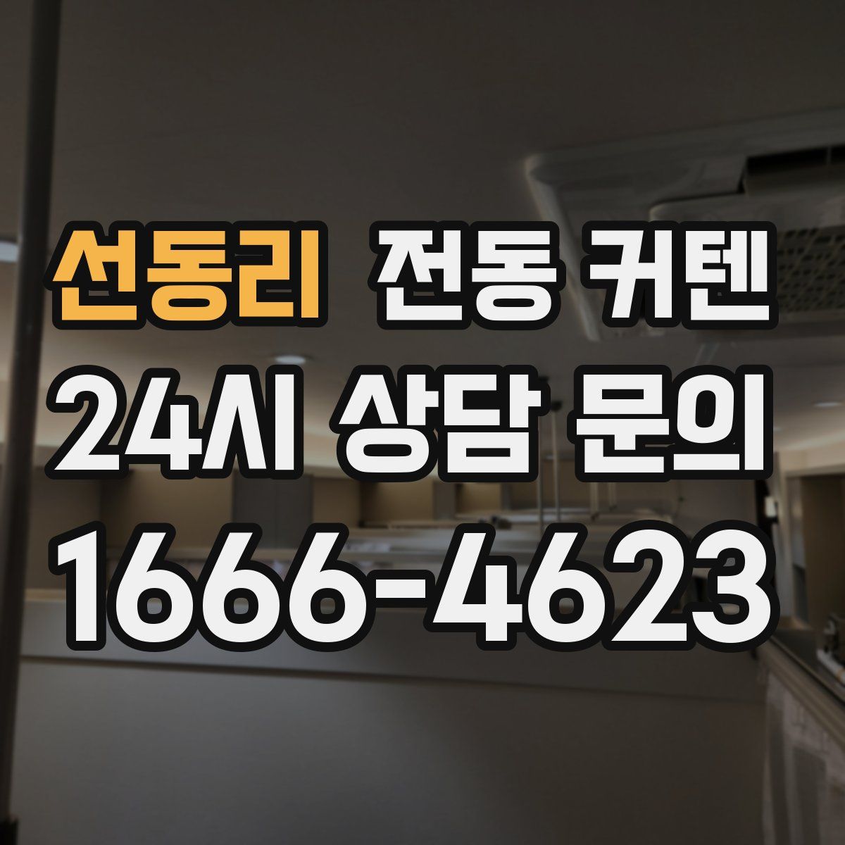 선동리 전동 커텐
