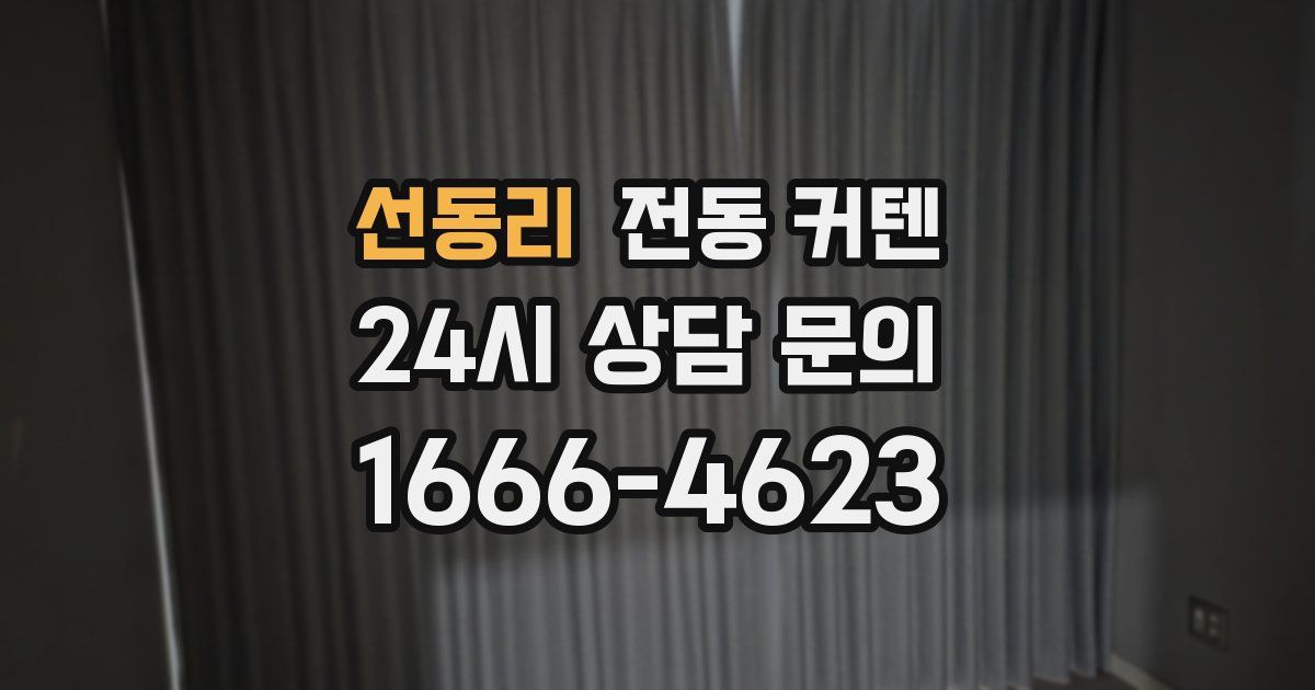 선동리 전동 커텐