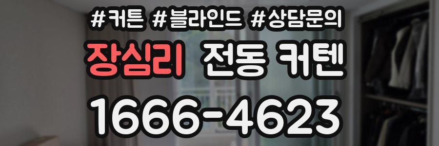 장심리 전동 커텐