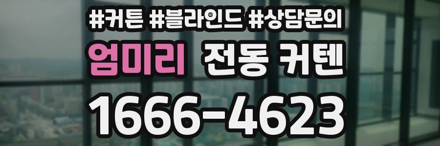 엄미리 전동 커텐
