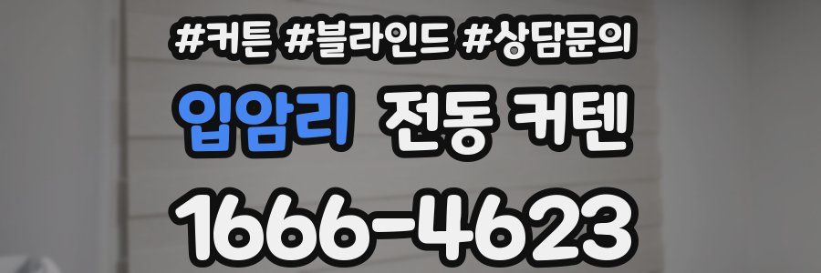 입암리 전동 커텐
