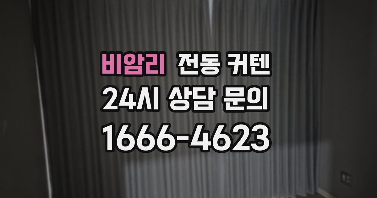 비암리 전동 커텐