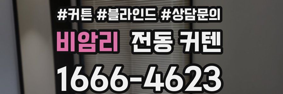 비암리 전동 커텐