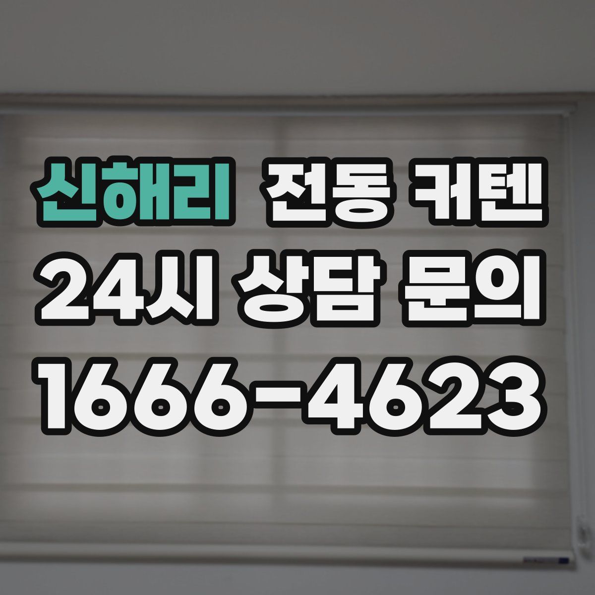 신해리 전동 커텐