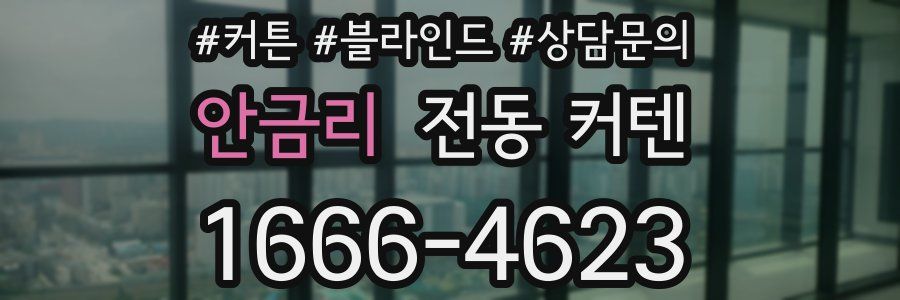 안금리 전동 커텐