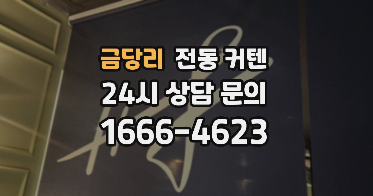 금당리 전동 커텐