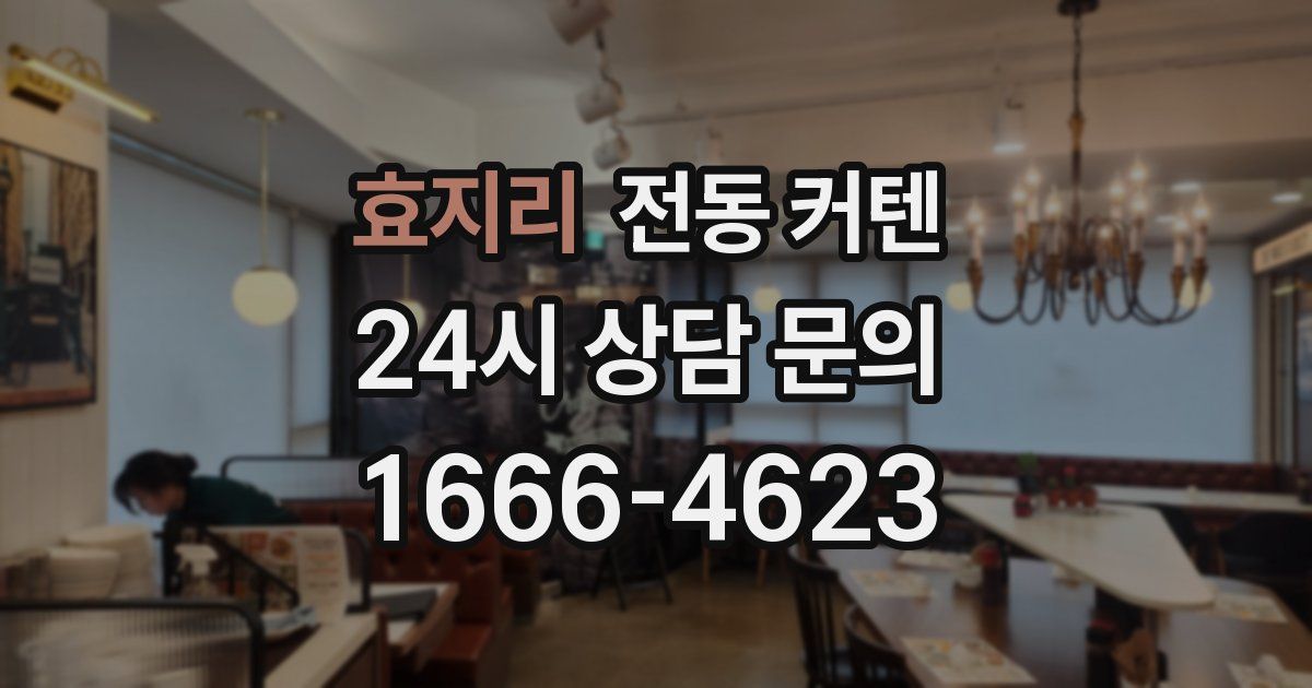 효지리 전동 커텐