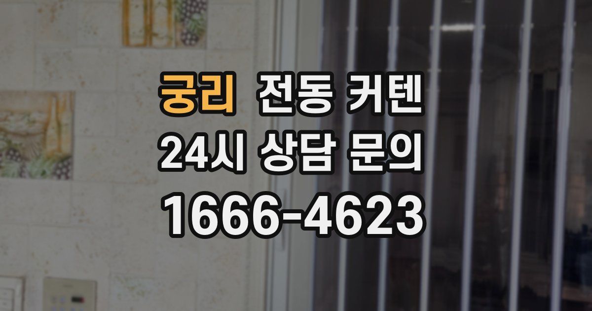 궁리 전동 커텐