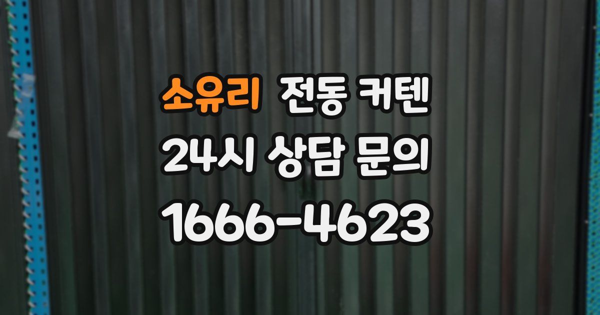 소유리 전동 커텐
