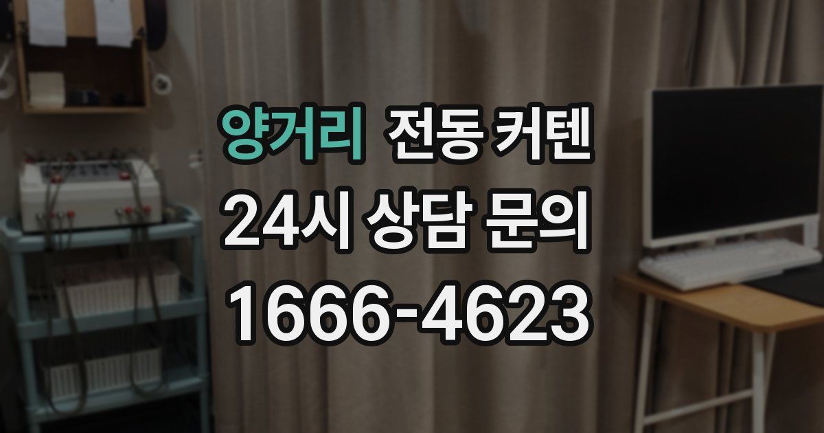 양거리 전동 커텐