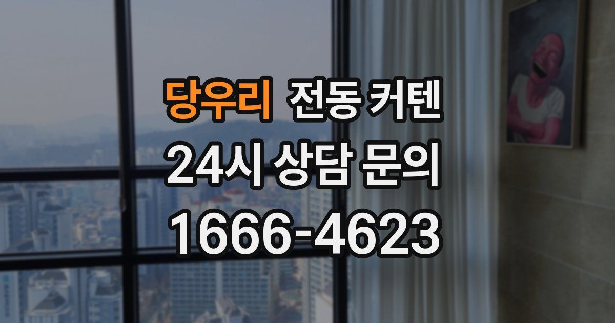 당우리 전동 커텐
