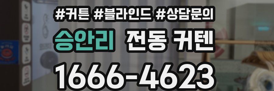 승안리 전동 커텐