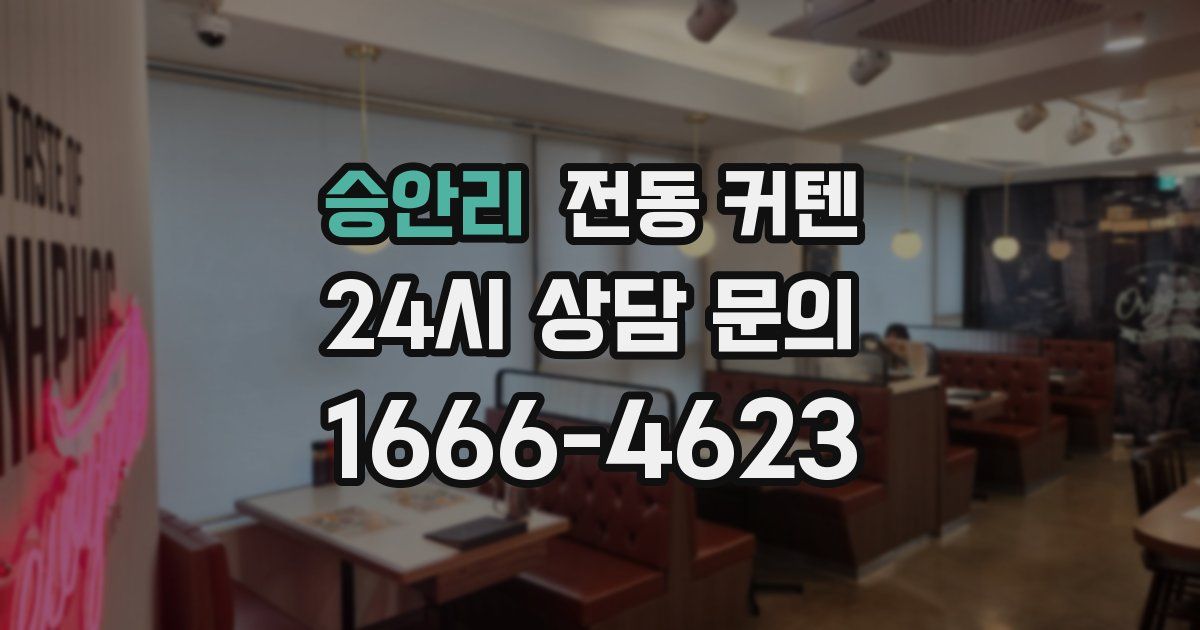 승안리 전동 커텐