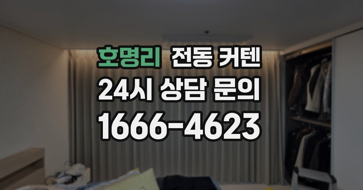 호명리 전동 커텐