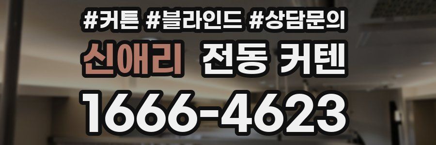신애리 전동 커텐