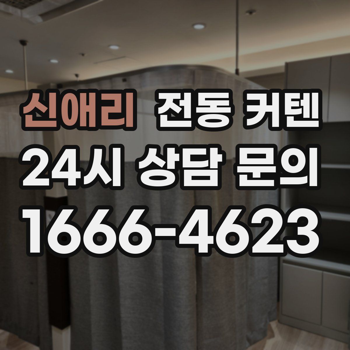 신애리 전동 커텐