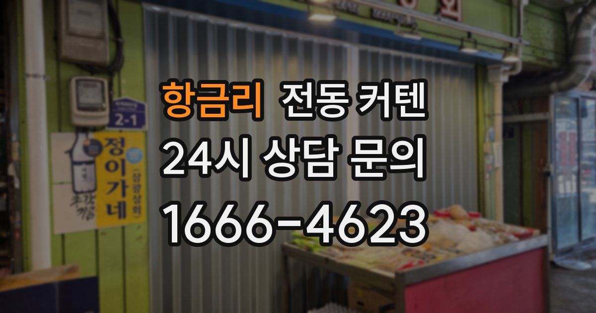 항금리 전동 커텐