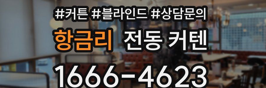 항금리 전동 커텐