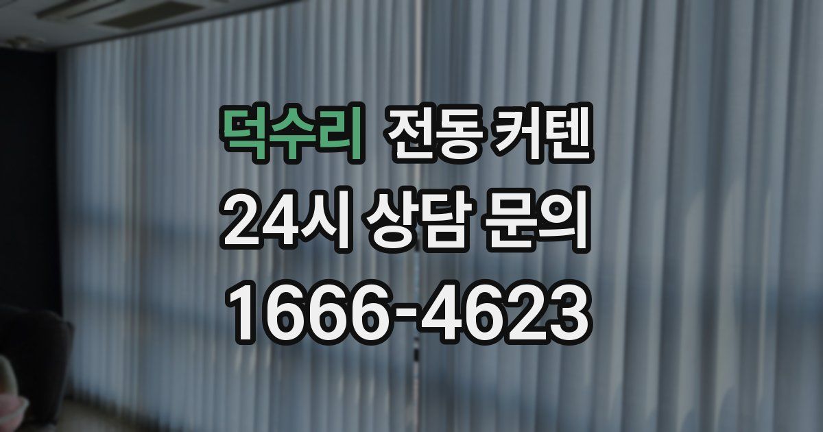 덕수리 전동 커텐
