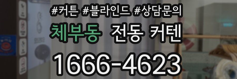 체부동 전동 커텐